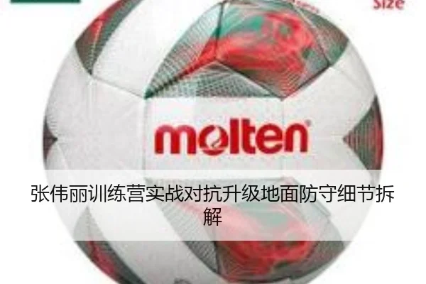 张伟丽训练营实战对抗升级地面防守细节拆解